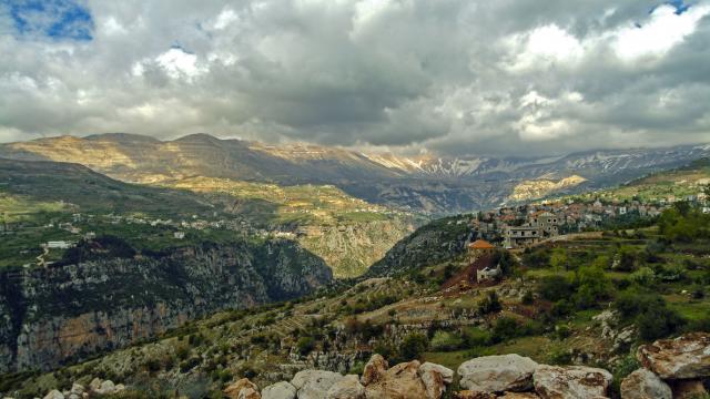Ride through the ancient cedars