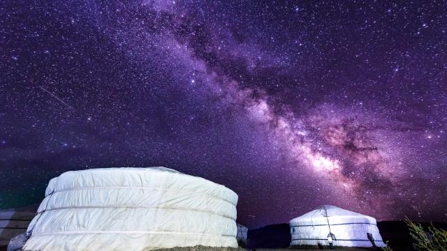 Go Stargazing