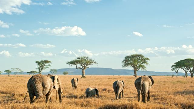 Explore the famous national parks