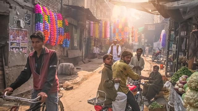 Feast on Street Food