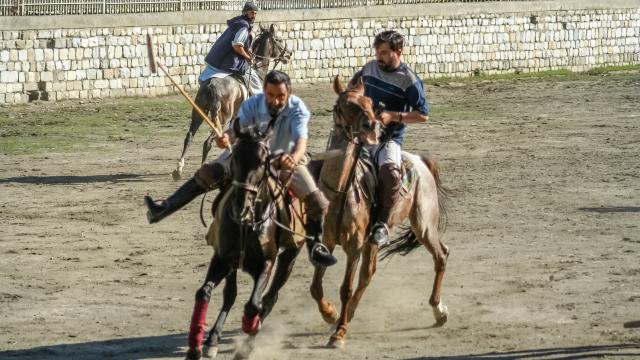 Catch a game of Frontier Polo