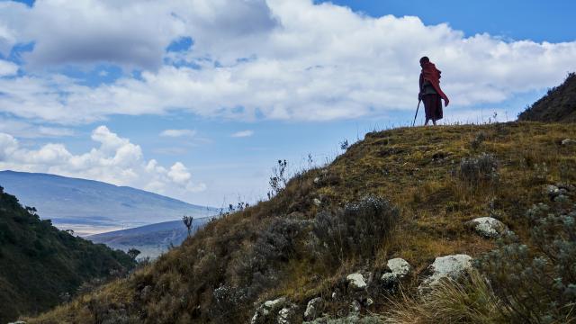 Take in spectacular views