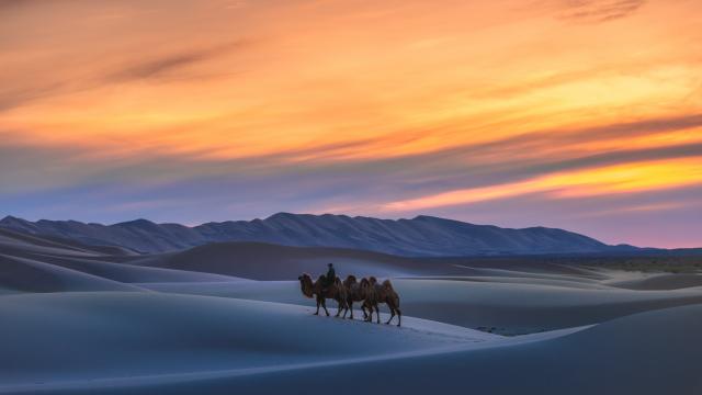 Ride a Camel on the Singing Dunes
