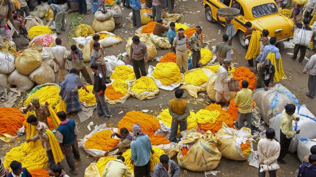 Visit Kolkata's flower market