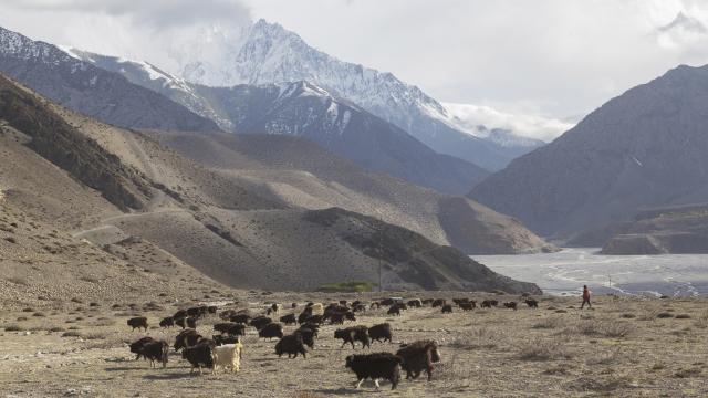 Go on day hikes from Jomsom
