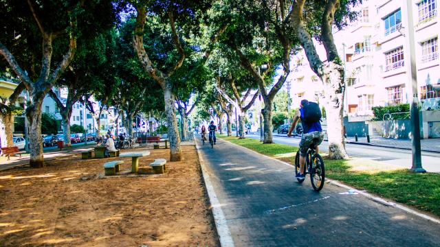 Take a city bike ride