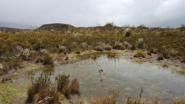 DAYTRIP TO CHINGAZA NATIONAL PARK