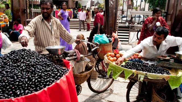 Get to the heart of Bangalore