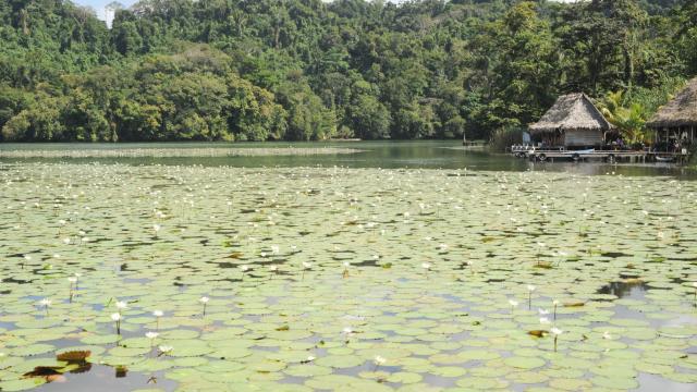 Boat down the Rio Dulce