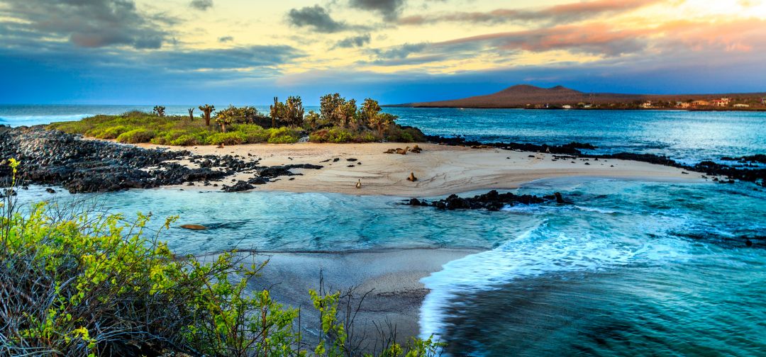 Galapagos Islands (Cruise)