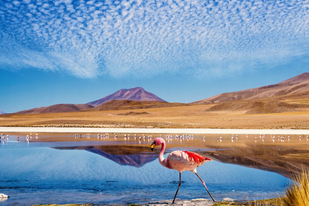 Uyuni Salt Flats
