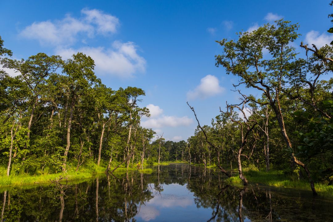 Chitwan National Park