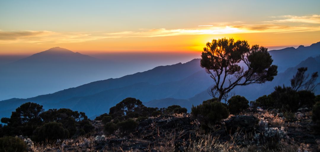 Kilimanjaro