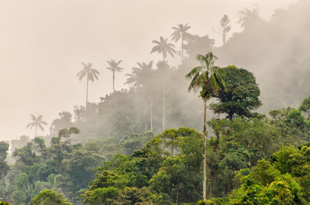 Ecuador & Galapagos