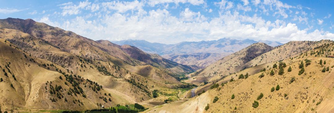 Ferghana