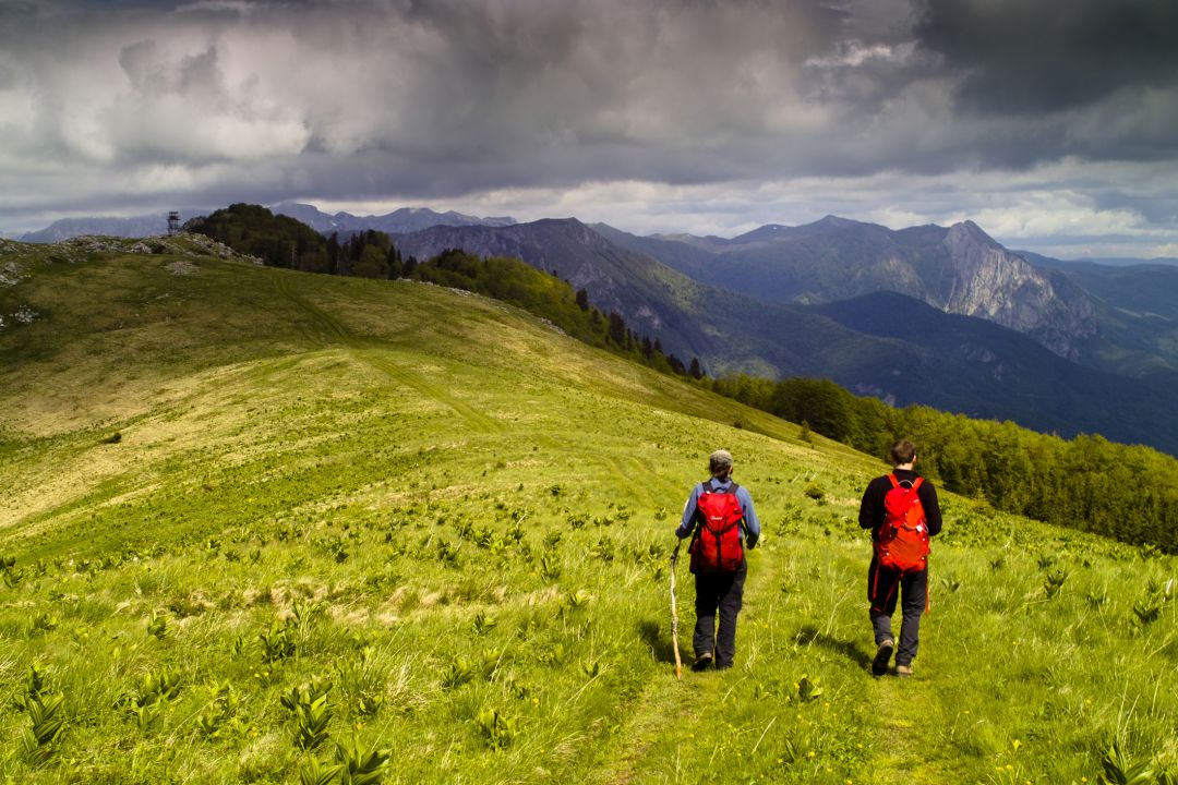 Sutjeska National Park