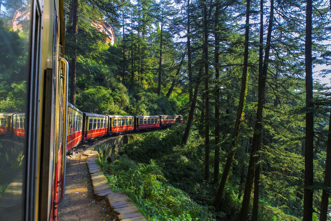 Shimla