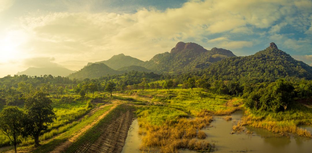 Gal Oya National Park