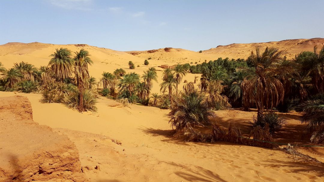 Algeria
