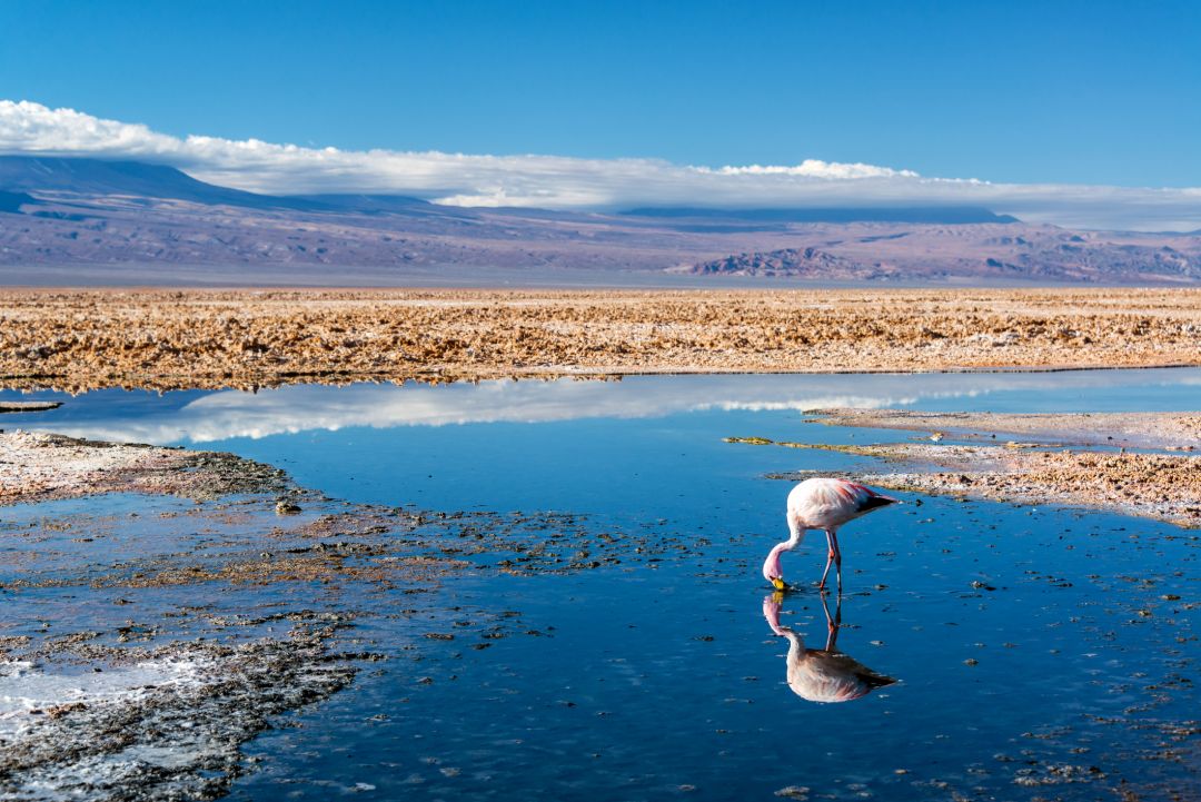 Atacama Desert