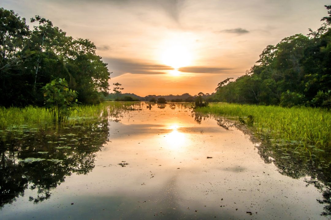 Amazon Peru