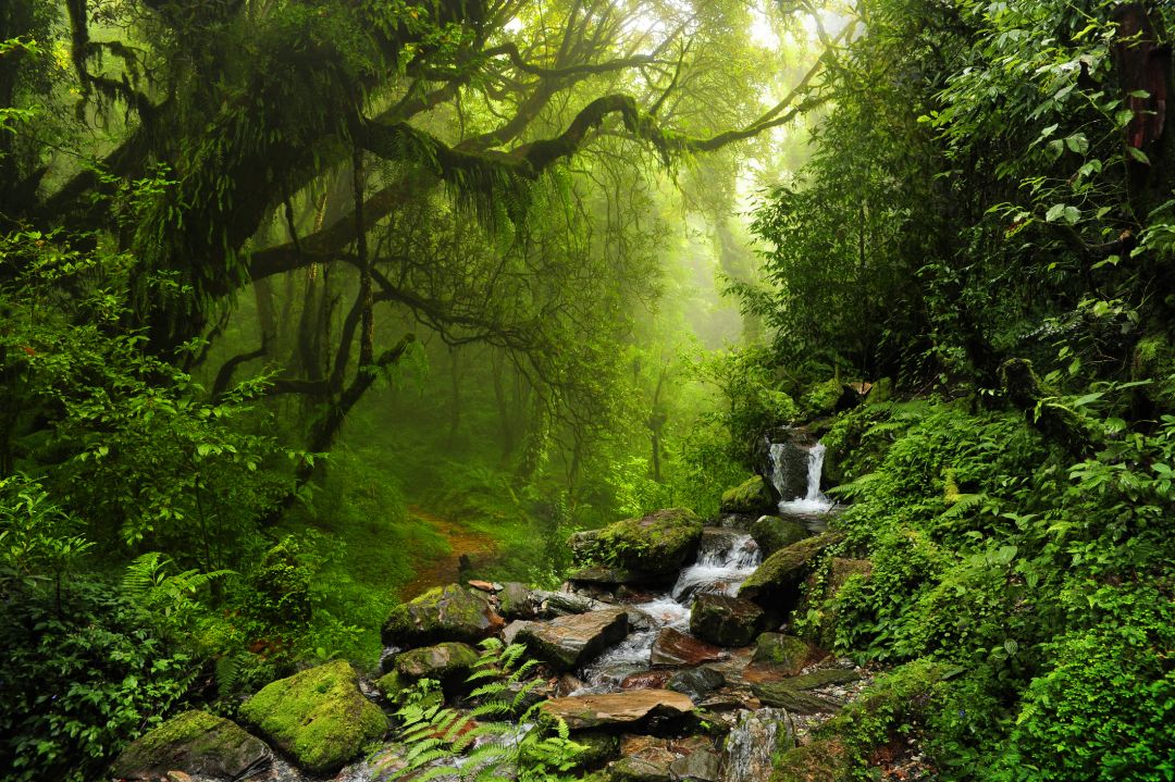 Nepal