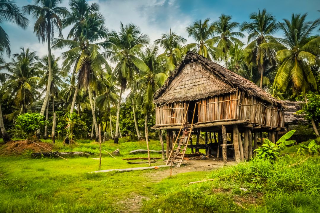 Sepik River
