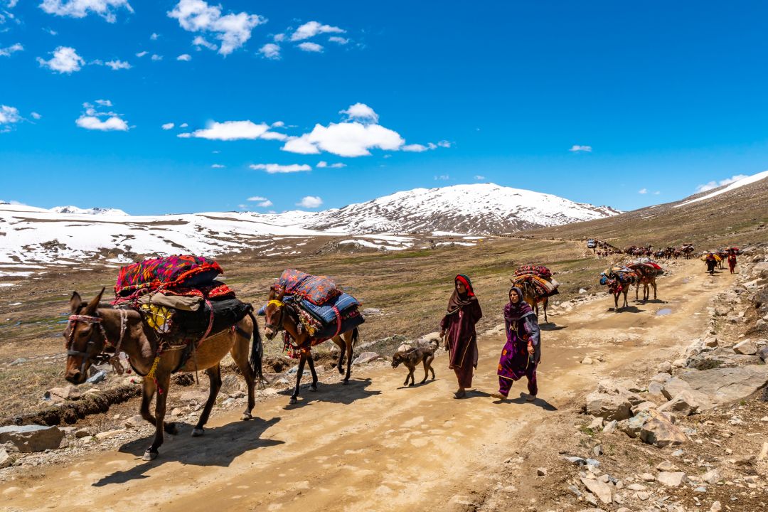 Deosai National Park