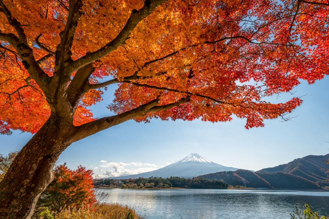 Hakone