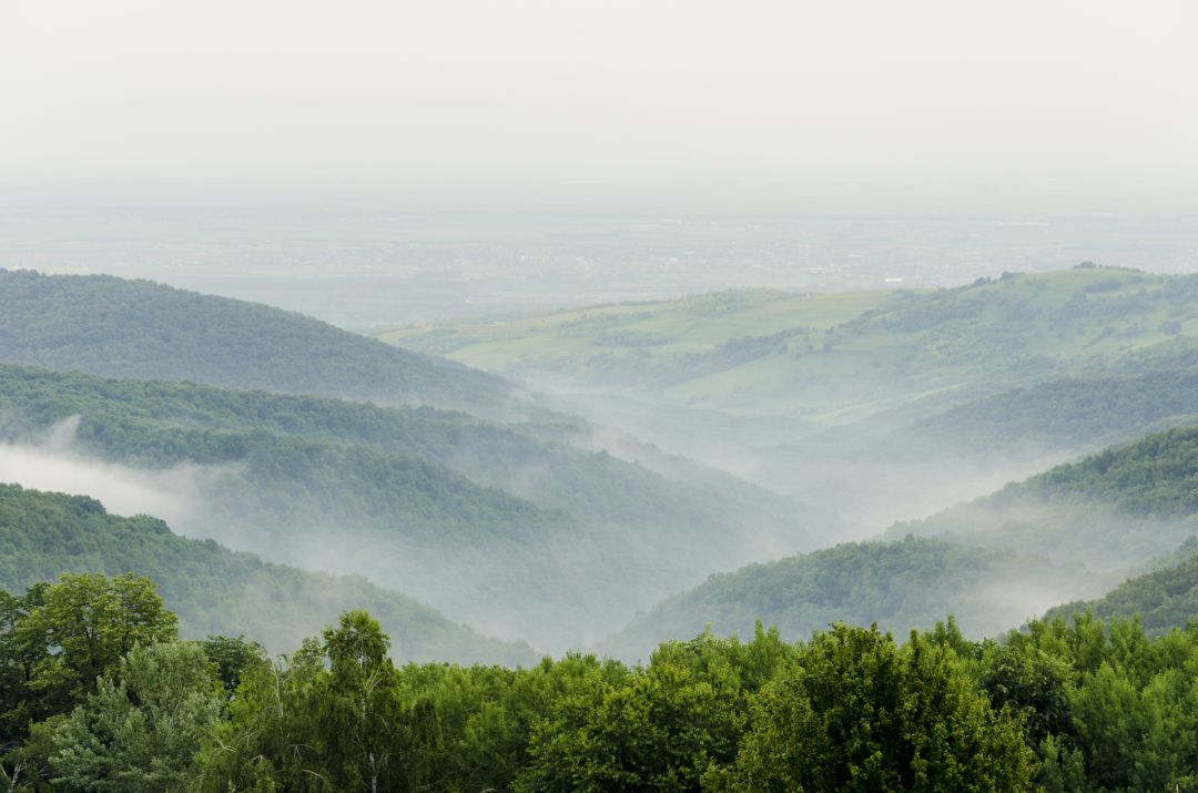 Fruska Gora National Park