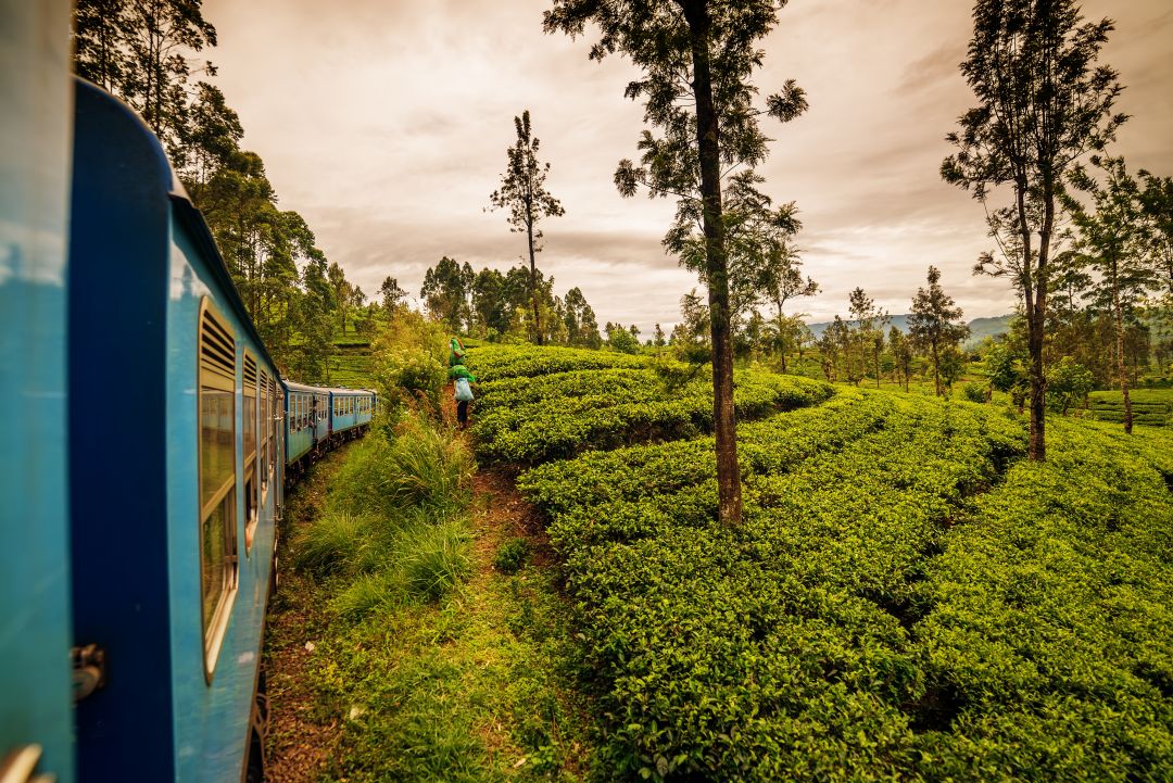 Nuwara Eliya
