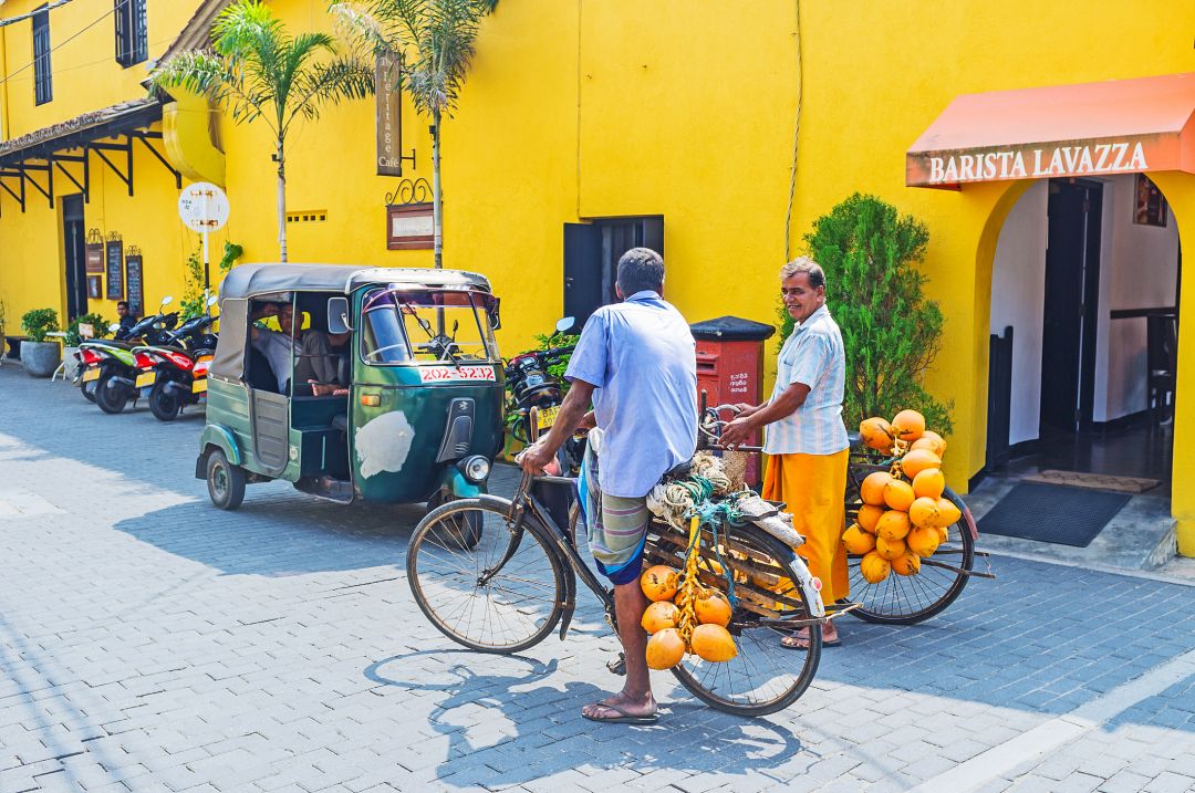 Galle
