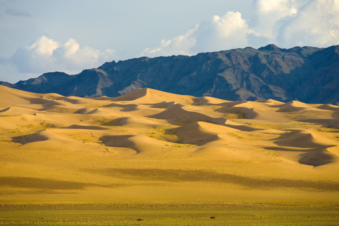 Khongoryn Els