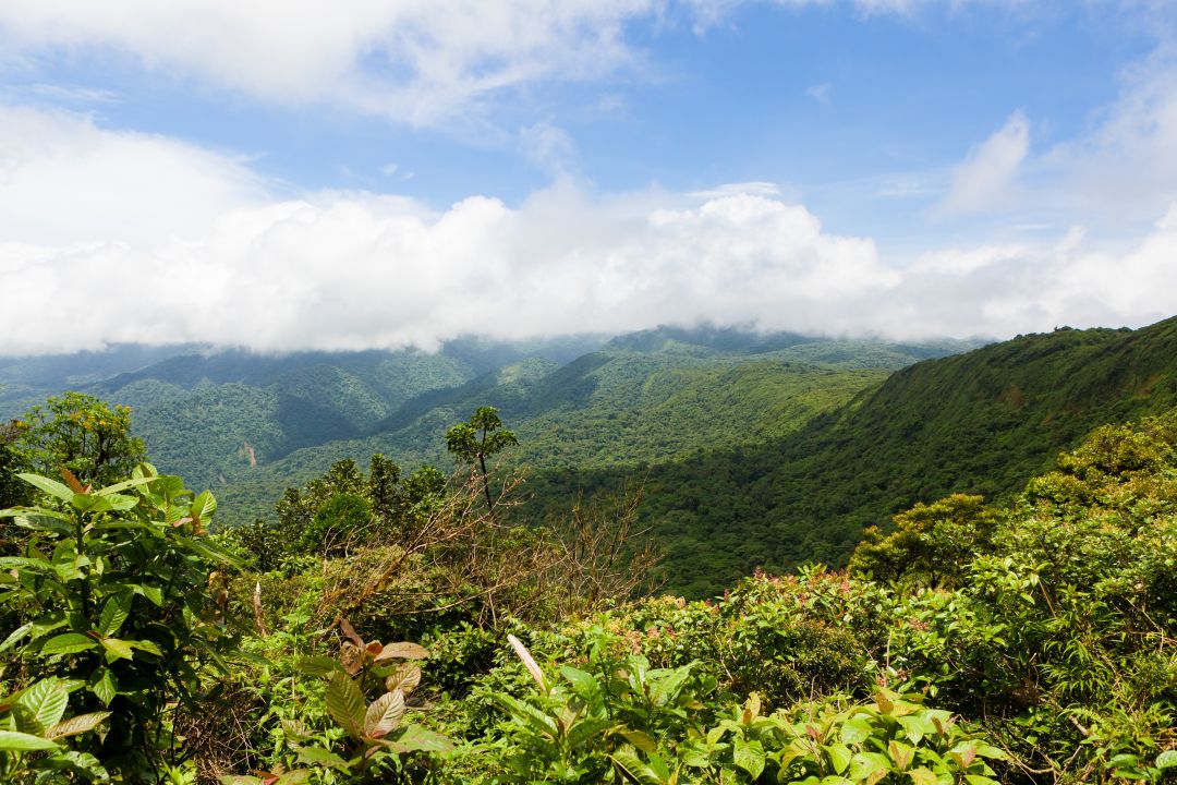 Monteverde