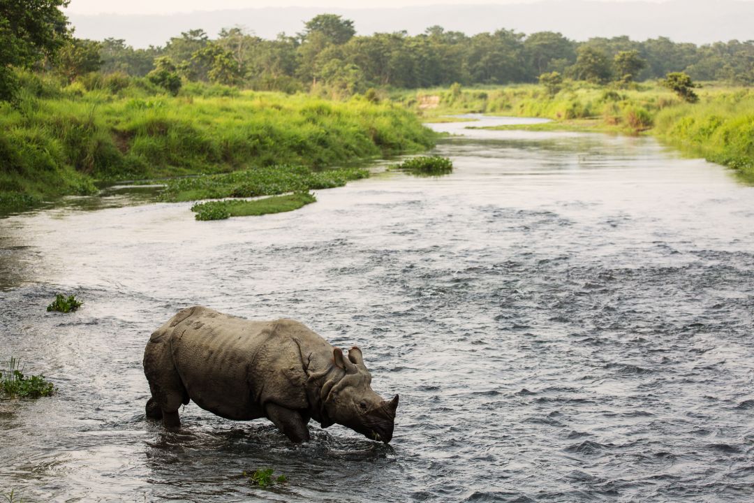 Chitwan National Park