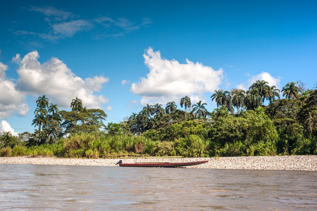 Ecuadorian Amazon