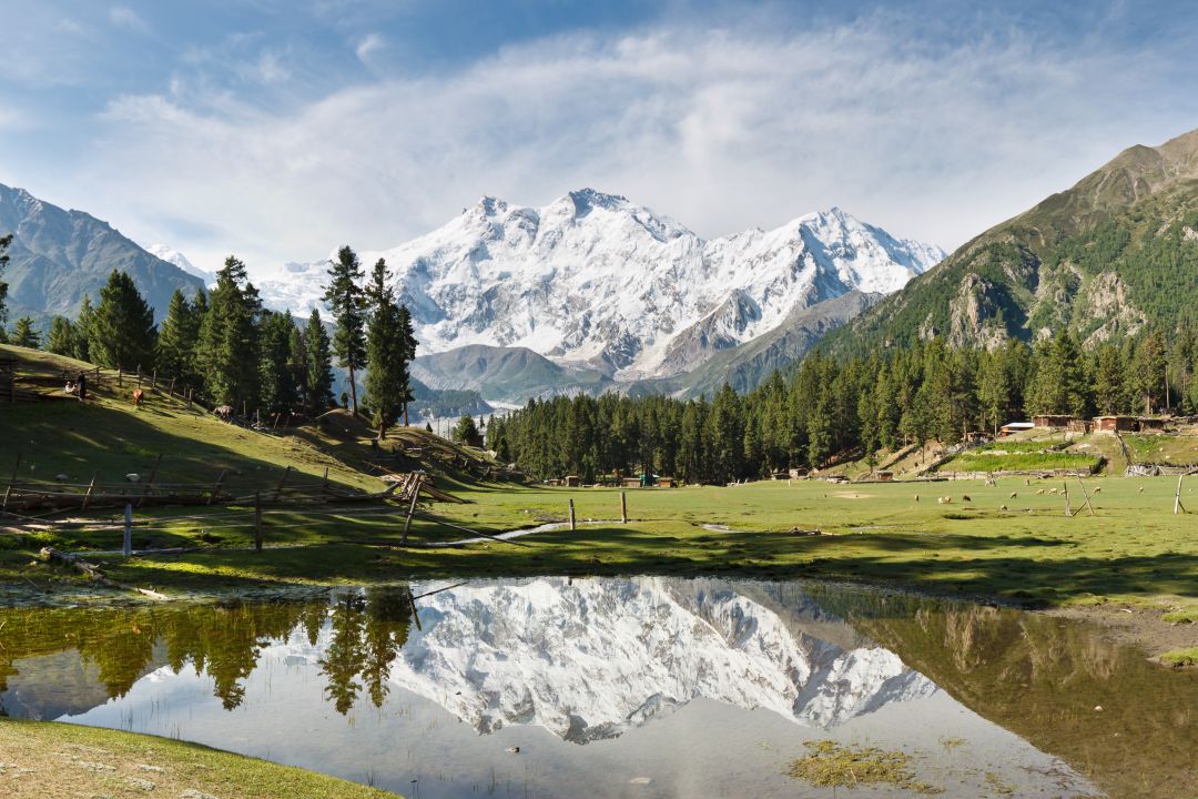 Fairy Meadows