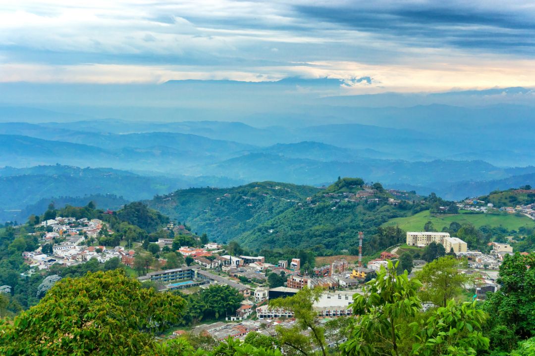 Manizales