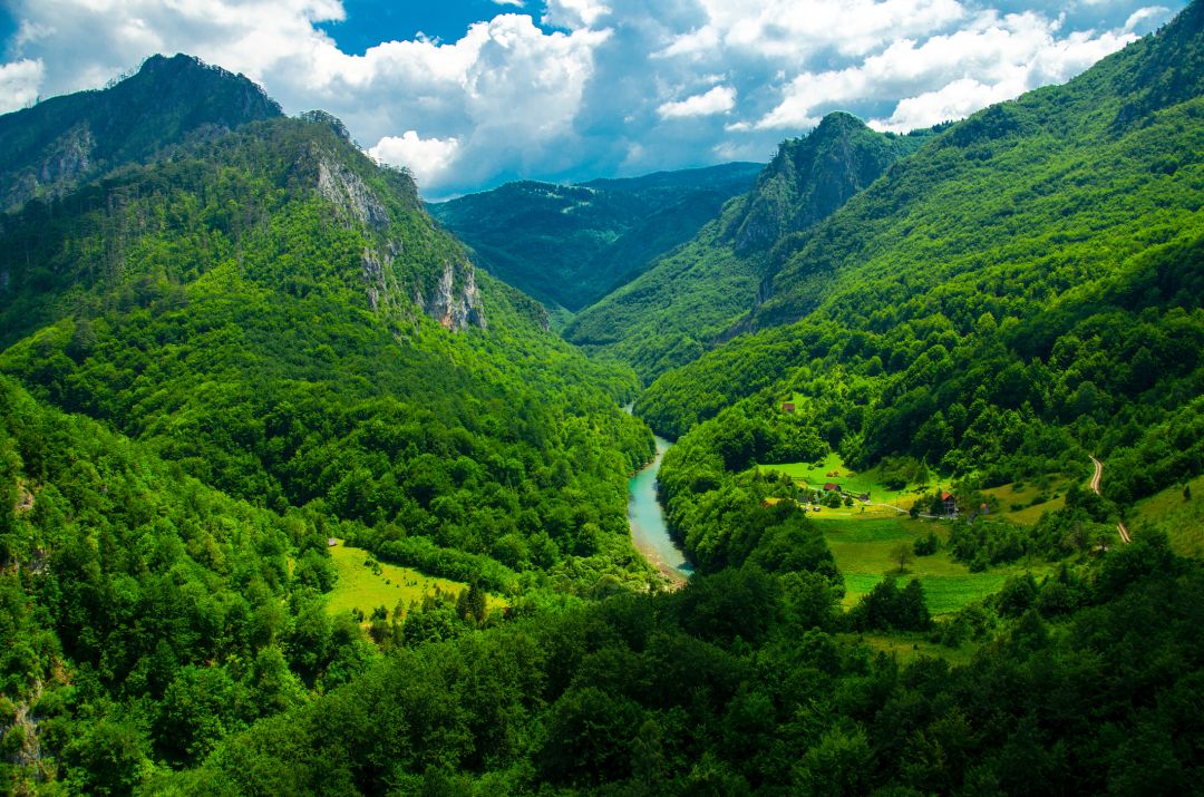 Tara River Canyon