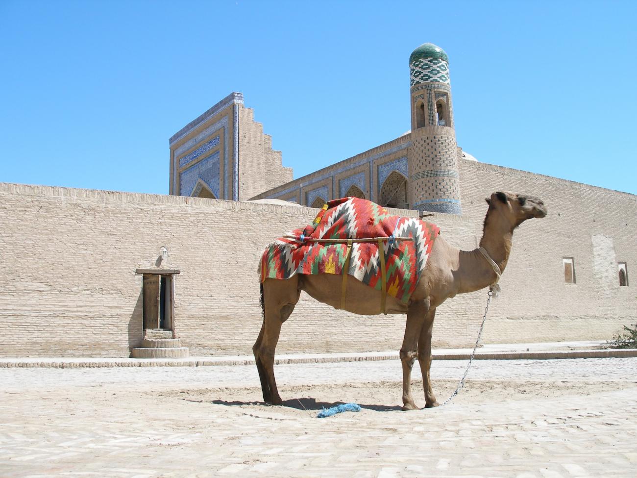 July - August in Uzbekistan