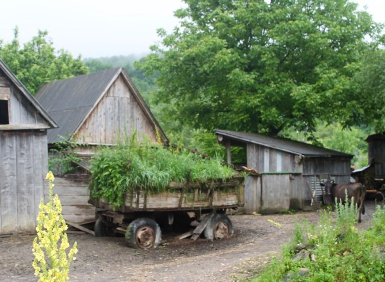 North Caucasus Travel