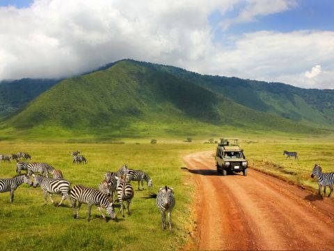 Why We Cap Our Groups at 12: The Wild Frontiers Philosophy on Travel Done Properly
