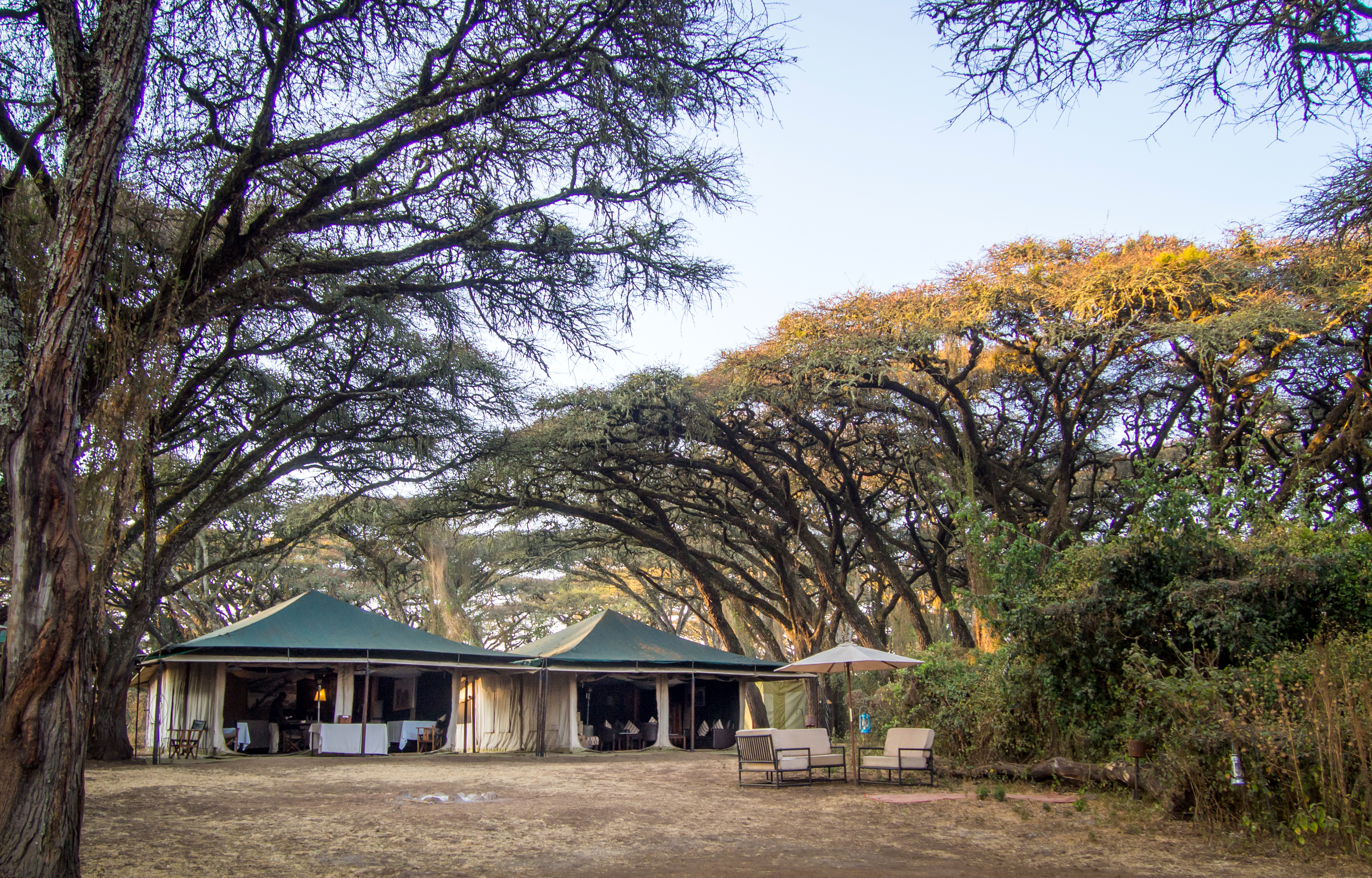 Sanctuary Ngorongoro Crater Camp