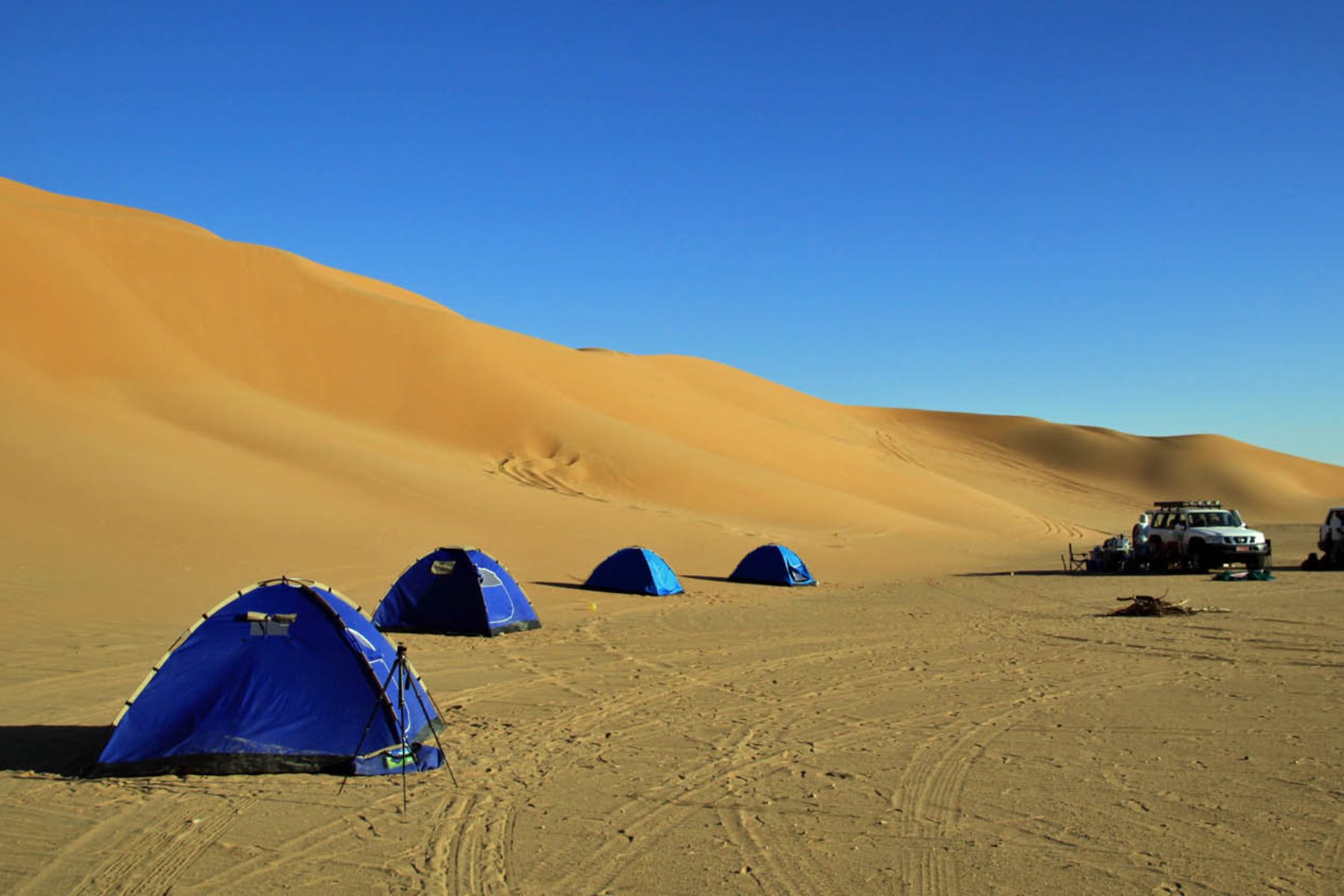 Empty Quarter Wild Camp