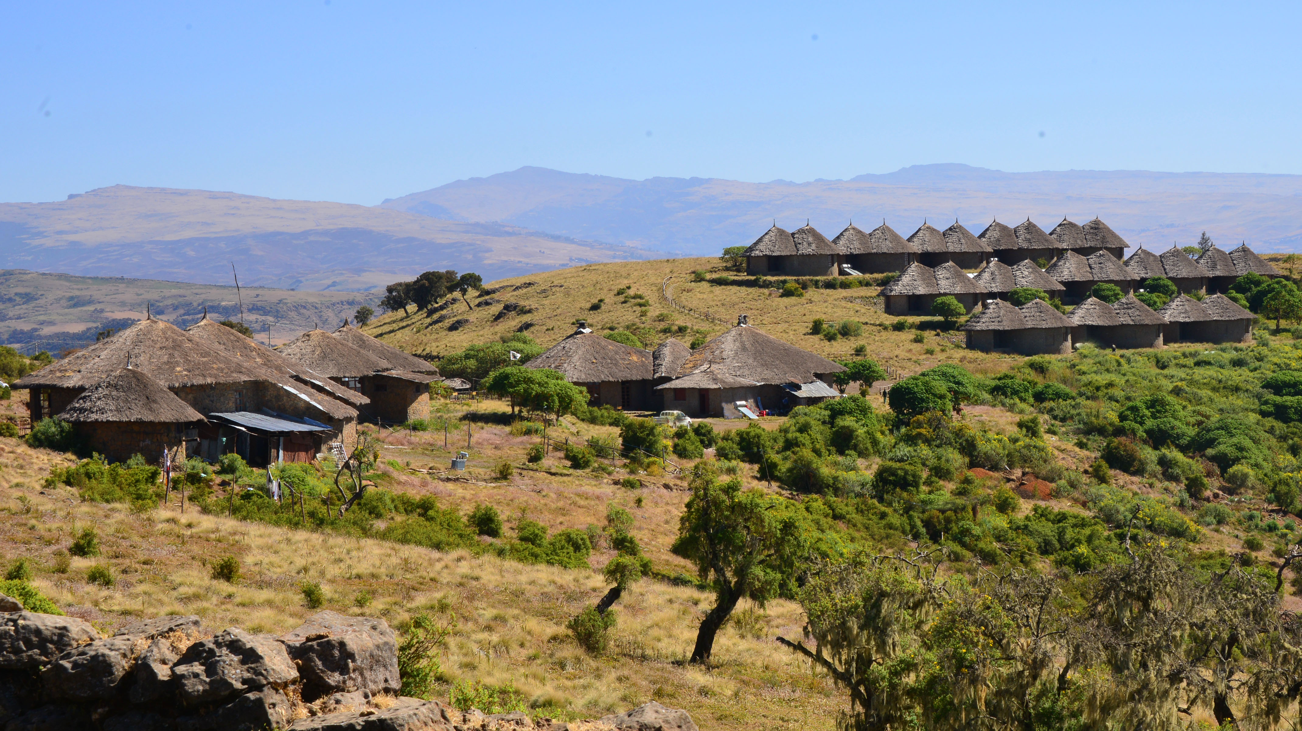 Simien Lodge