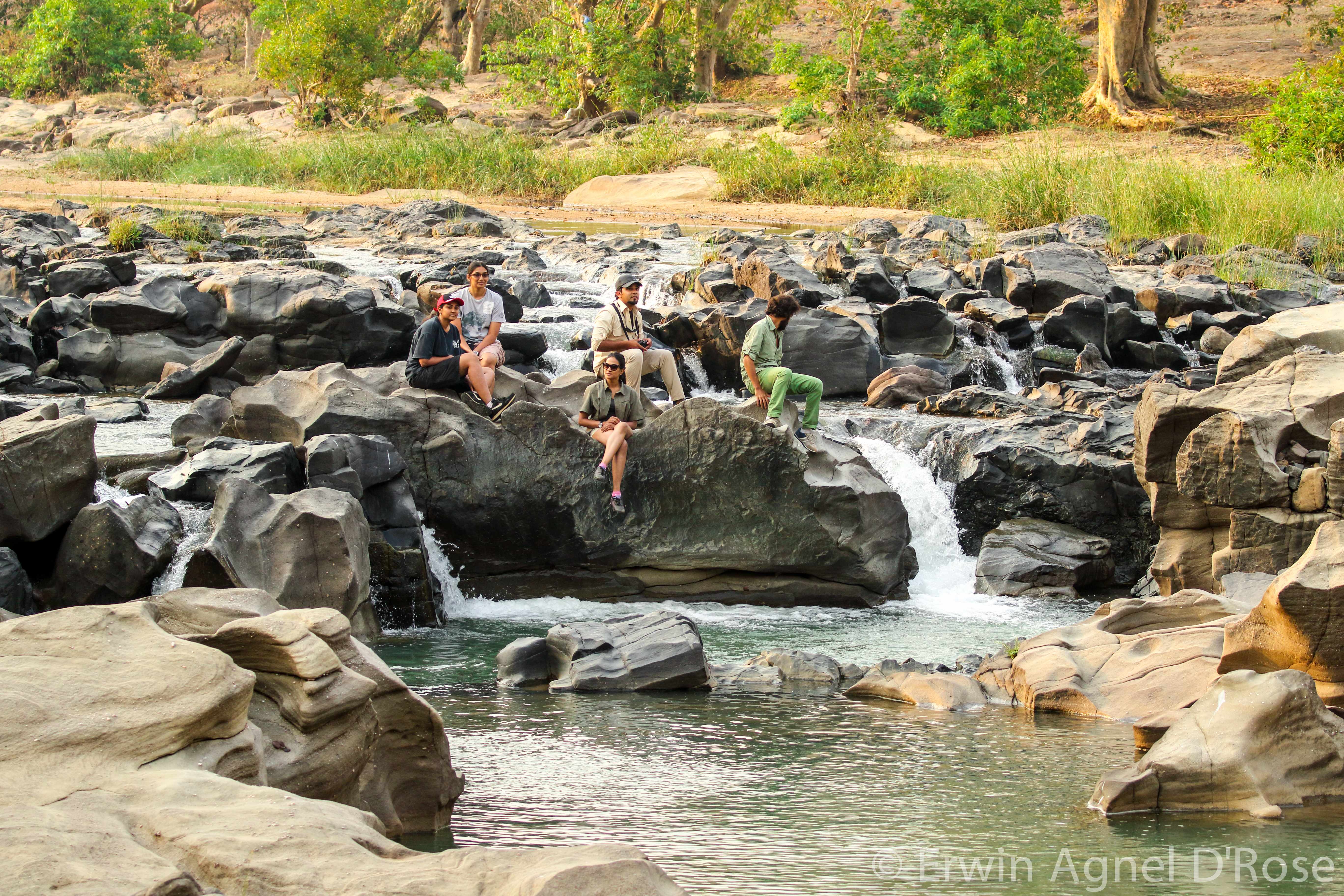 Reni Pani Jungle Lodge