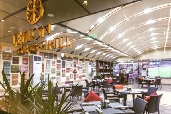 Golden Tulip