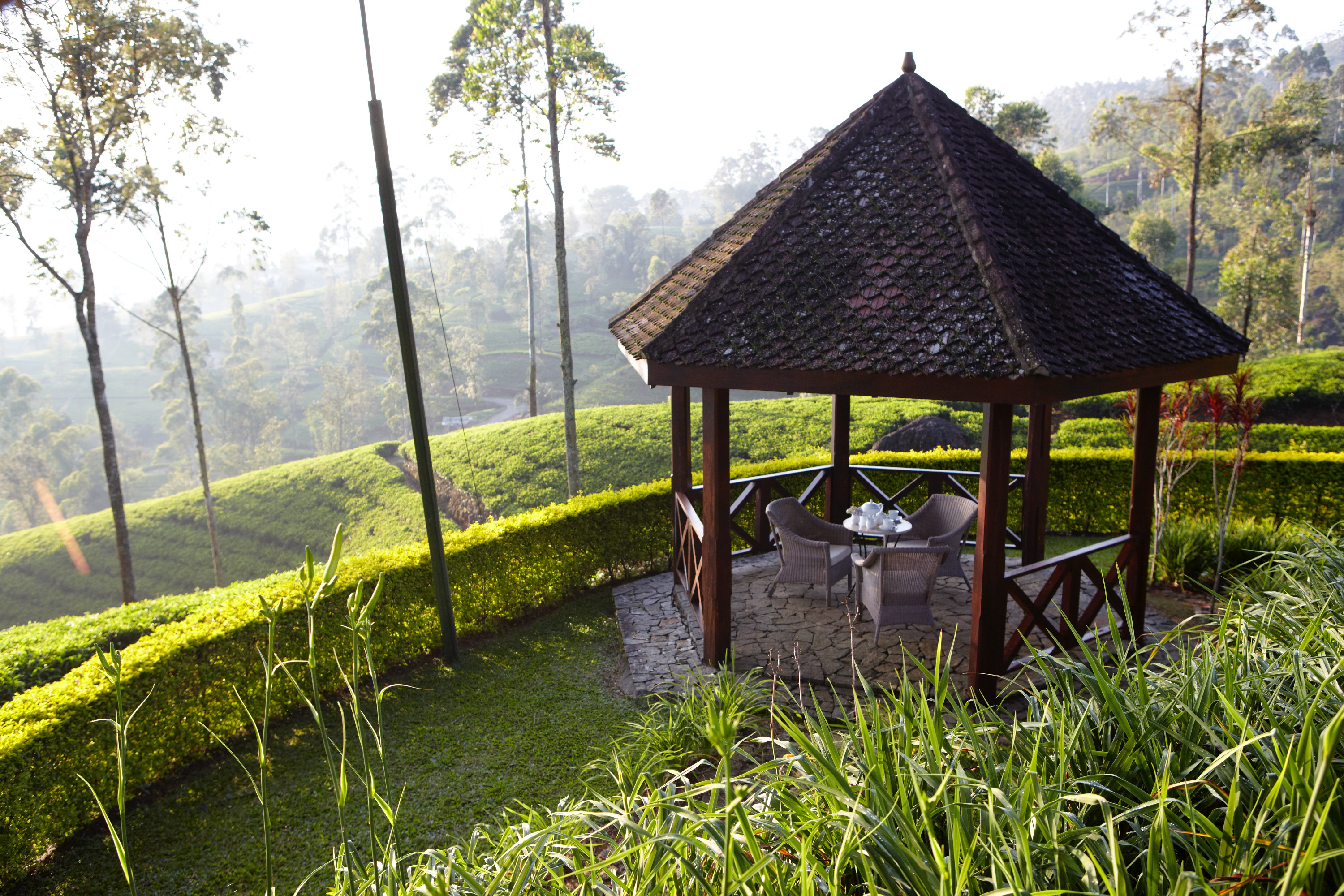 Ceylon Tea Trails