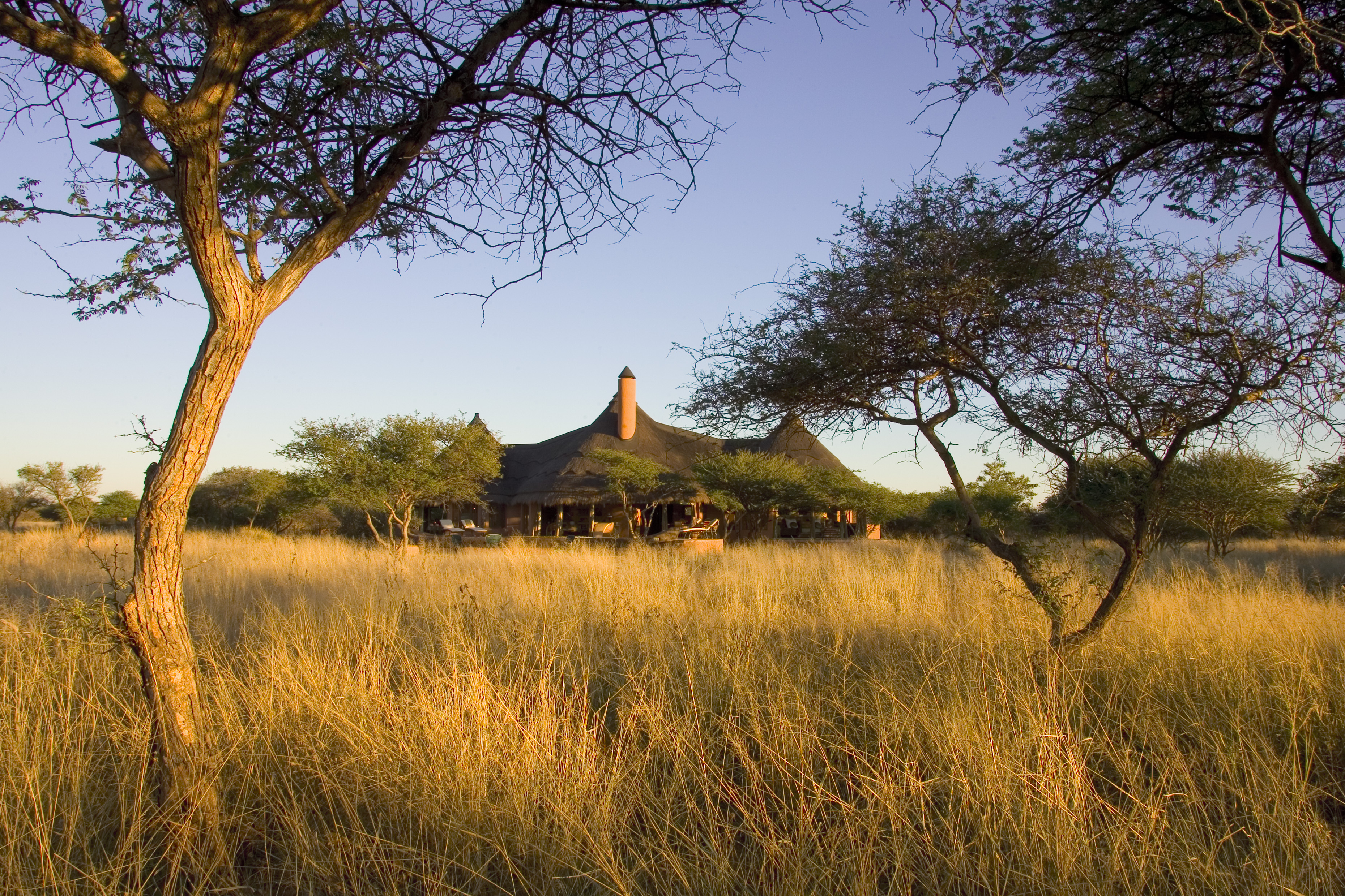 Okonjima Bush Camp