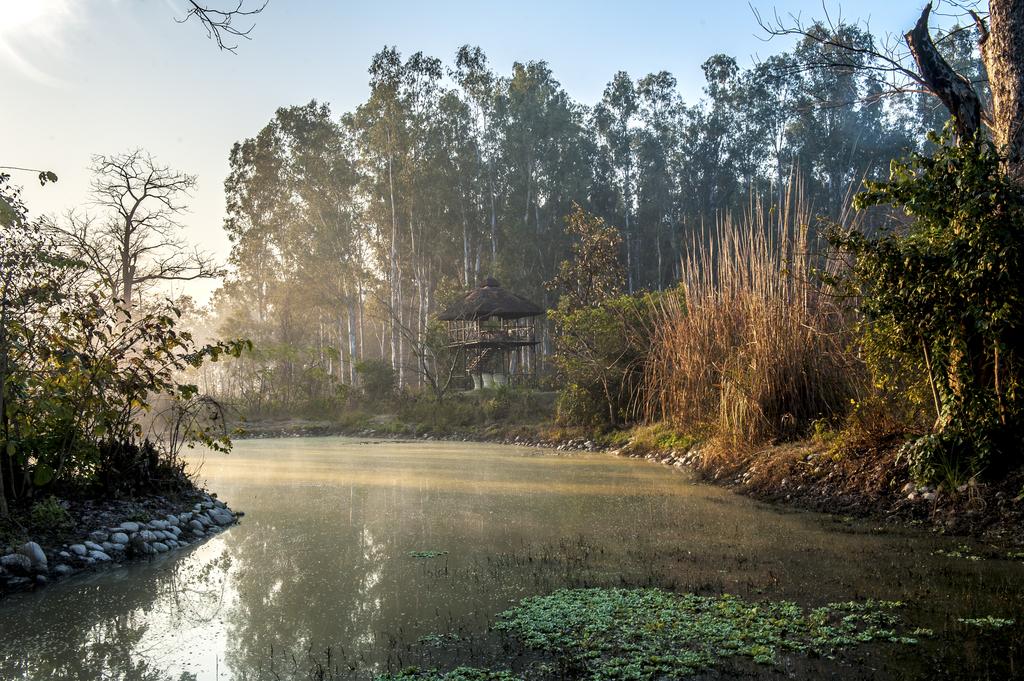 Jim's Jungle Retreat